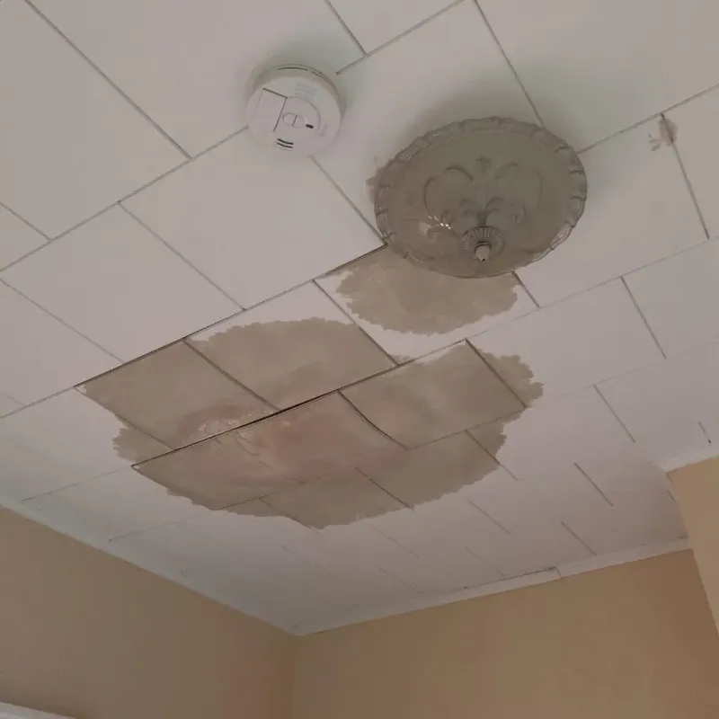 Ceiling Water Damage Repair in Moscow, ID
